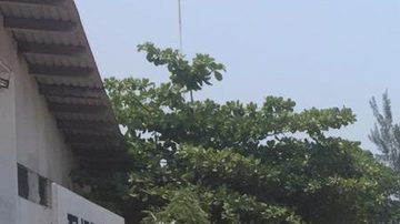 Caen 70 hombres ligados al narcotráfico antes de enfrentarse a grupo rival en Guerrero