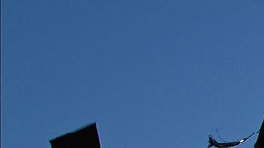 Estas carreras tienen bajos niveles de desempleo y muy buenos sueldos.