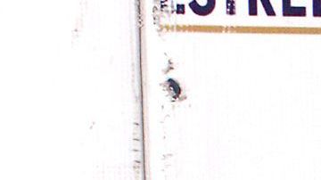 Celia Lora
