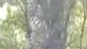 VIDEO: Grupo Pantera del CJNG amenaza a El Marro, aseguran que se apoderarán de Guanajuato
