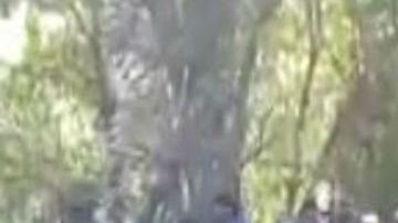 VIDEO: Grupo Pantera del CJNG amenaza a El Marro, aseguran que se apoderarán de Guanajuato
