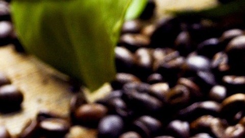 cafeína