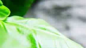 cr-health-inlinehero-fast-foods-that-are-honestly-good-for-you-11-17