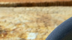 Crema de flor de calabaza