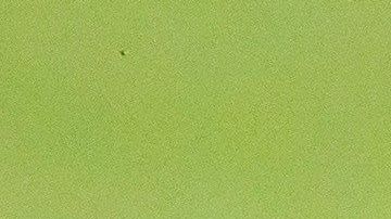 Cruz Azul está sumergido en una crisis de la que parece no quieren salir sus directivos.