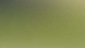 La pareja mexicana inició su relación en el 2017