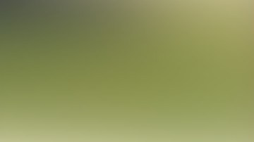 La pareja mexicana inició su relación en el 2017