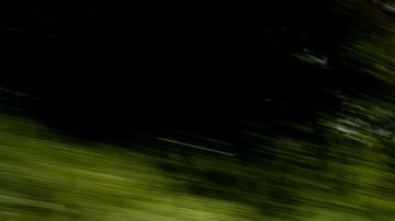 Volkswagen reemplazará motores de Bleetles por motores eléctricos. Los nombrará e-Beetle.