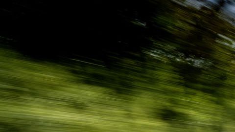 Volkswagen reemplazará motores de Bleetles por motores eléctricos. Los nombrará e-Beetle.