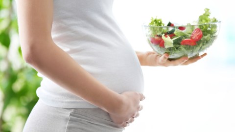dieta