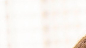 Greta Thungberg y Donald Trump