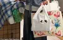 Emily Zamourka vive en la calle, en Los Ángeles, pero su voz cantando ópera cautivó al mundo.