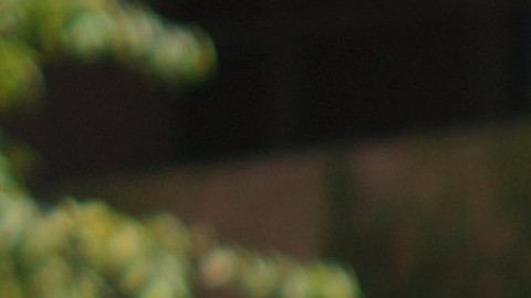 La abogada Robyn Barnad explica que el caso del refugiado ha sido cerrado por un juez, pero aún así el gobierno ha apelado el resultado. (Manuel Ocaño)