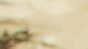 Los refugiados denuncian, pero prefieren mantener oculta la identidad por miedo a repercusiones. (Manuel Ocaño)