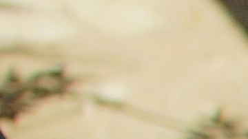 Los refugiados denuncian, pero prefieren mantener oculta la identidad por miedo a repercusiones. (Manuel Ocaño)