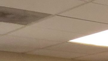 Supervisora Hilda Solís acompaña al ex vicepresidente durante su visita al sur de California. (TW: Solís)