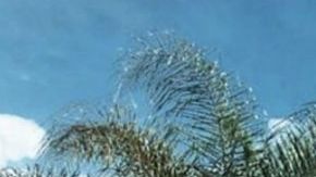 El Chapito nueva foto