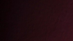 José Luis Sánchez Solá está decepcionado de la raza humana.