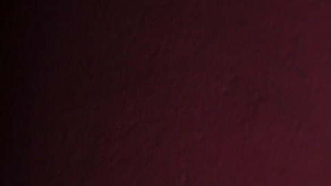 José Luis Sánchez Solá está decepcionado de la raza humana.