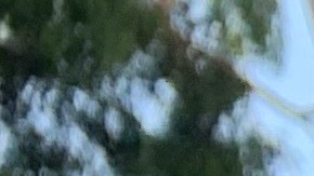 El incidente se presentó en la madrugada de este lunes.