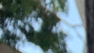 El incidente se presentó en la madrugada de este lunes.