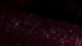 La flor de Jamaica sirve más que para una bebida