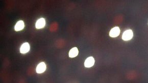 El colombiano ha sido recibido como héroe en Estambul