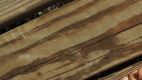 enfermedad venosa