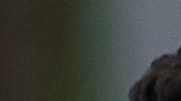 El 'principito' volvió después de unos días de descanso