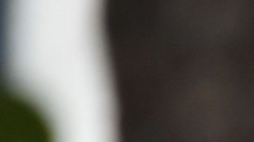 FBI, imagen de archivo.