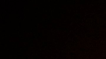 Las autoridades también revisaron otras dos embarcaciones que pertenecen al mismo dueño.