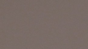 Zion Williamson incursionó en el golf con resultados no muy satisfactorios.