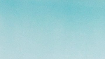 La foto del técnico con la indumentaria del Leeds se ha hecho viral