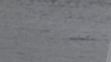 Así se ve Houston por la tormenta Imelda.