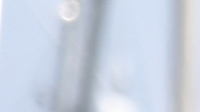 Conception bote buceo incendio california