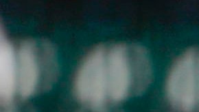 Los Cerveceros buscan mejorar lo logrado la campaña pasada.