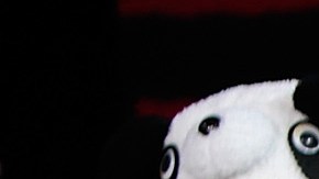 El público quedó derretido de amor