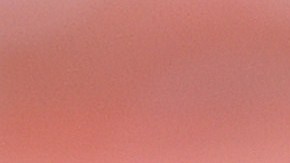 Manuel Rosas fue quien votó como representante de la selección, en lugar de su capitán .