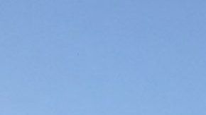 El vuelo iba de Miami a Bahamas