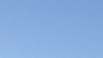 El vuelo iba de Miami a Bahamas