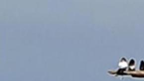 Adolescentes arriesgan la vida por tomarse una foto para las redes sociales.