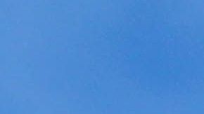 Al camello no le gustó la intrusa.