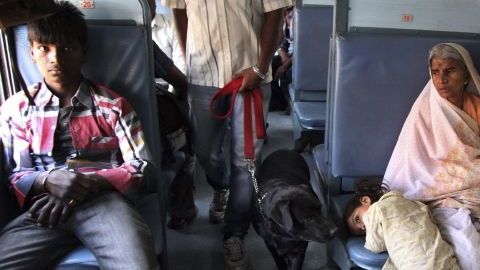 India es el segundo país más poblado del mundo