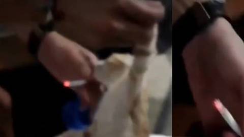Imágenes del polémico vídeo en el que se maltrataba a los gatos.
