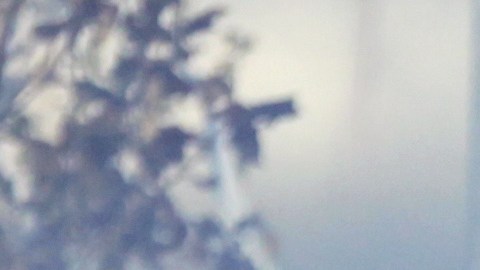 Dos aficionados de Rayados fueron sentenciados a más de 4 años de prisión.