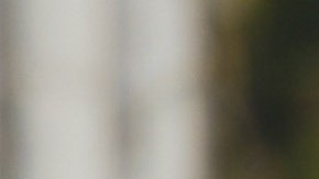 Por la delicadeza de las investigaciones no se reveló cuáles son los equipos que están bajo la lupa.