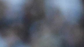 Alexis dedicó su gol contra el Atlas a Marquito y ahora lo quiere asu lado para seguir goleando al Atlas.