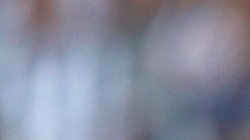 ¿Lograrán mantener esa inercia y ser contendientes al título para este torneo?