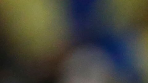 Roger Martínez viajó a Colombia para arreglar problemas personales.