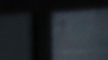 Santos llegó a 17 puntos y están empatados en la cima de la tabla junto a Necaxa y Gallos Blancos